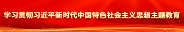 鸡女导航学习贯彻习近平新时代中国特色社会主义思想主题教育